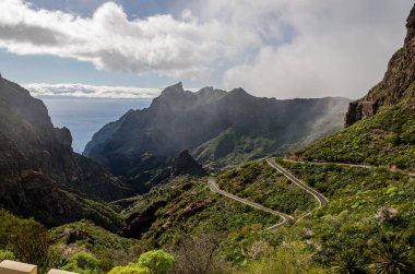 Masca, Kanarya Adaları 'nda Buenavista del Norte de Tenerife belediyesine bağlı bir şehirdir. İspanya