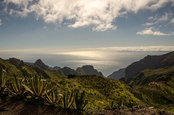 Masca Município Buenavista Del Norte Tenerife Nas Ilhas Canárias Espanha — Fotografia de Stock