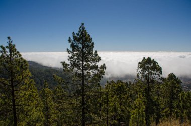 El Teide Ulusal Parkı, Tenerife 'de bulutlar denizi. Kanarya Adaları. İspanya.