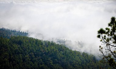 El Teide Ulusal Parkı, Tenerife 'de bulutlar denizi. Kanarya Adaları. İspanya.