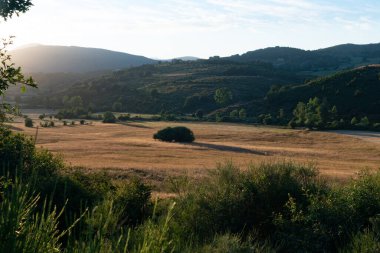 Pealabra, Pea Tremaya 'dan. Palencia 'da. İspanya