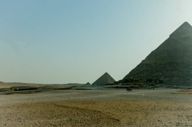 Giza Piramitleri. Kahire. Mısır.