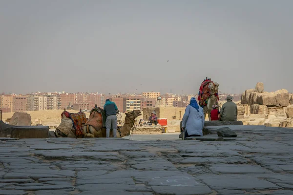 Mısır Nisan 2019 Turist Develer Deve Rehberleri Turistler — Stok fotoğraf