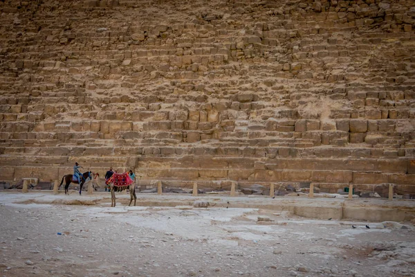 Mısır Nisan 2019 Turist Develer Deve Rehberleri Turistler — Stok fotoğraf