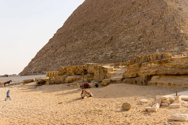 Mısır Nisan 2019 Turist Develer Deve Rehberleri Turistler — Stok fotoğraf