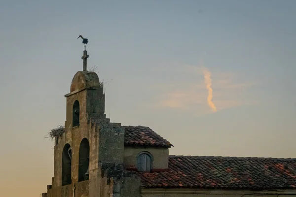 Stork Ovanpå Kyrktornet — Stockfoto