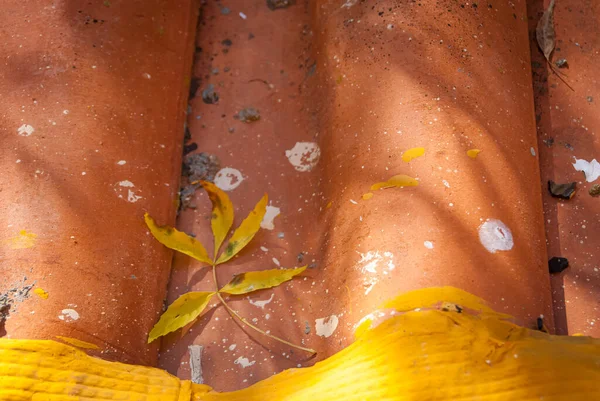 Achtergrond Van Het Detail Van Herfstbladeren Kleitegels — Stockfoto