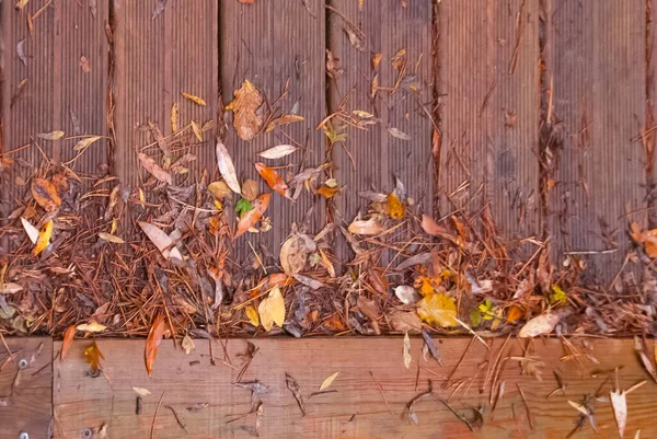 Latar Belakang Lantai Kayu Dengan Daun Musim Gugur — Stok Foto
