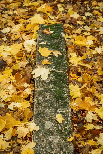 Beklede Vloer Achtergrond Met Herfstbladeren — Stockfoto
