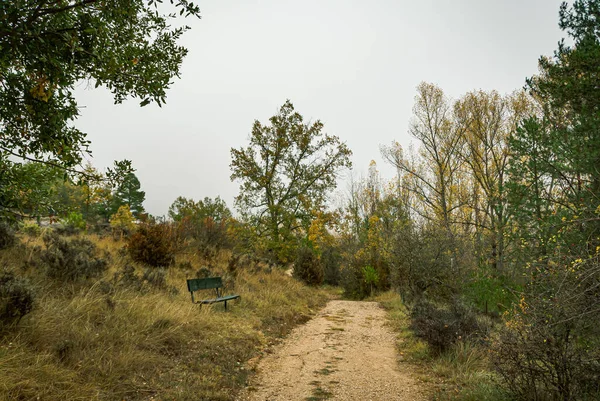 Paisaje Forestal Provincia Cuenca Otoño España — Foto de Stock