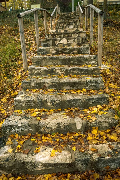Escaleras Piedra Tapizada Hojas Árboles Otoño — Foto de Stock
