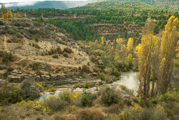 Boslandschap Van Provincie Cuenca Herfst Spanje — Stockfoto