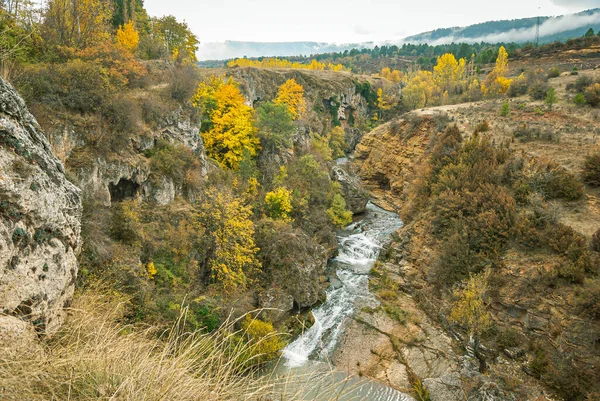Paysage Forestier Province Cuenca Automne Espagne — Photo