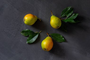 Yaprakları ile üç taze armut gri bir masa üzerinde yalan