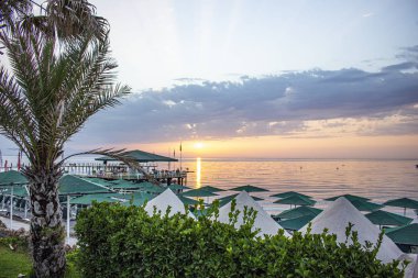 Palmiye ağaçları, deniz şemsiyeleri ve günbatımı.