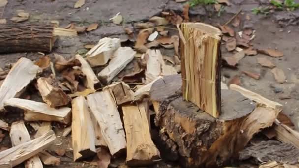 Hij Hakte Hout Met Een Bijl Hakmes — Stockvideo