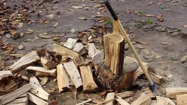 斧で木片を削った — ストック動画
