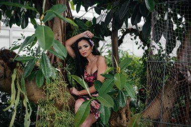 Genç ve güzel bir esmer, sık orman ve yağmur ormanları arasında poz veriyor. Spa