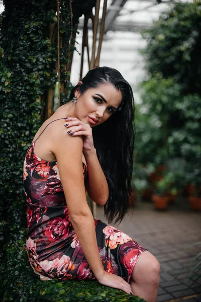 Young Beautiful Brunette Posing Dense Thickets Jungle Rainforest Spa — Stock Photo, Image