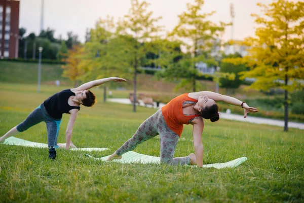 Las Chicas Jóvenes Hacen Yoga Aire Libre Parque Durante Atardecer — Foto de Stock