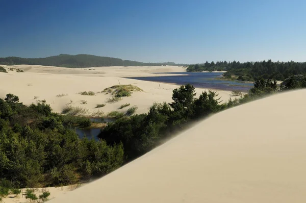Большие Песчаные Холмы Орегонских Дюнах — стоковое фото