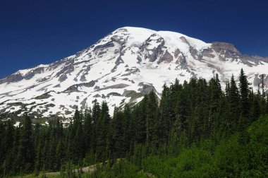 Rainier Dağı 'nın Kar Tepesi Washington Usa
