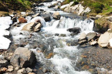 Myrte Falls Mount Rainier Ulusal Parkı 'nda Washington Usa