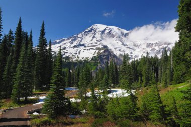 Rainier Dağı 'nın Kar Tepesi Washington Usa