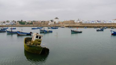 Asilah, Fas 'ta geleneksel beyaz berber evleri. Asilah, Kuzey Fas 'ta bir şehirdir. Asilah 'ın binaları beyazın gölgesinde kalmıştır. 