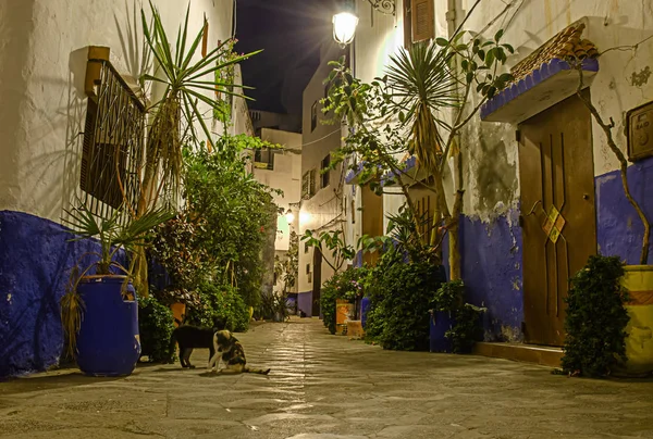 Tradizionali Case Berbere Bianche Asilah Marocco Asilah Una Città Nel — Foto Stock