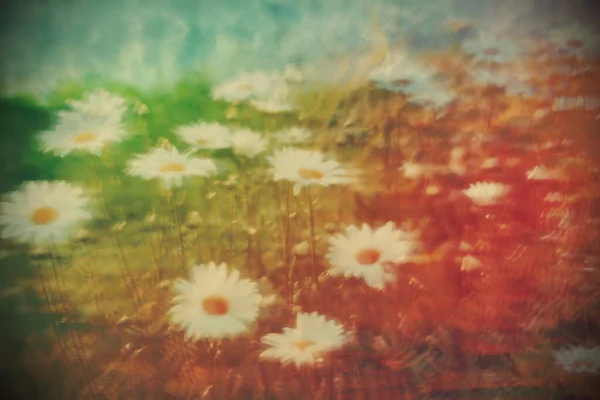 Blur Motion Photo Bloomsom Flowers Field Nature Abstract Background — Stock Photo, Image