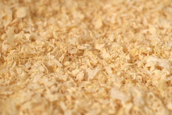 Pine wood shavings, used as pet bedding and litter. Texture detail.