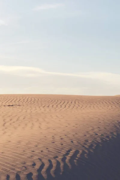 阳光灿烂的一天 沙漠中的沙丘和波纹 — 图库照片