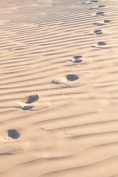 Foot tracks on the desert sand on a clear, sunny day