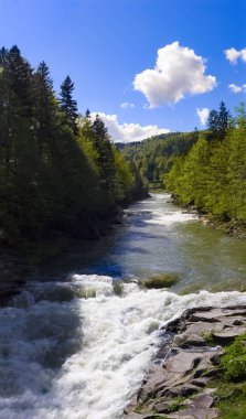 Güneşli bir yaz gününde Karpatlar dağ nehri