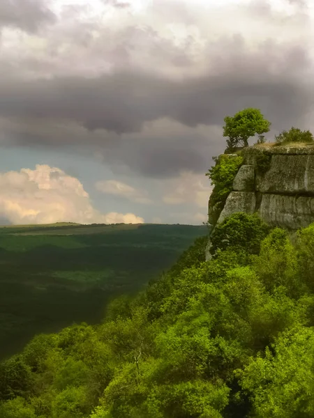 Landscape with a lonely tree on the edge of a mountain cliff green trees under a cloudy stormy sky