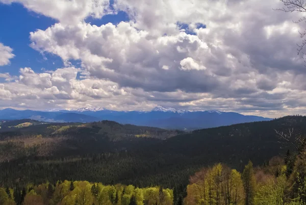 Grüne Frühlingswiese Vor Dem Hintergrund Der Karpaten Und Blauer Himmel — Stockfoto