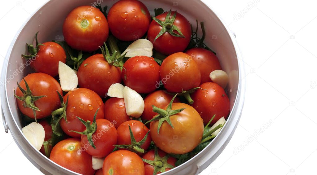 Fruits of red tomatoes with green tails and garlic cloves lie in a white bucket. Close-up.