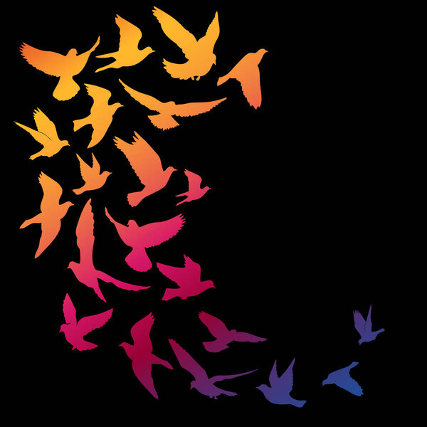 multicolored silhouettes of birds on black background