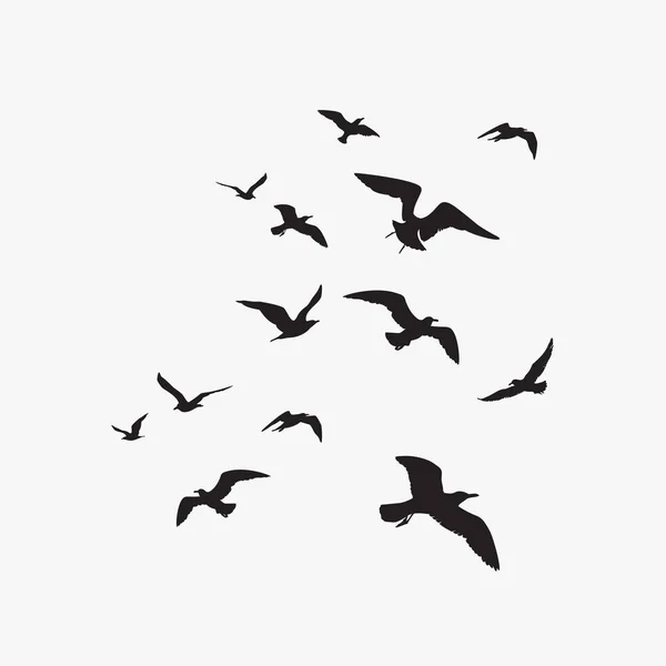 Poster Mit Schwarzen Fliegenden Vögeln Auf Weißem Hintergrund — Stockvektor