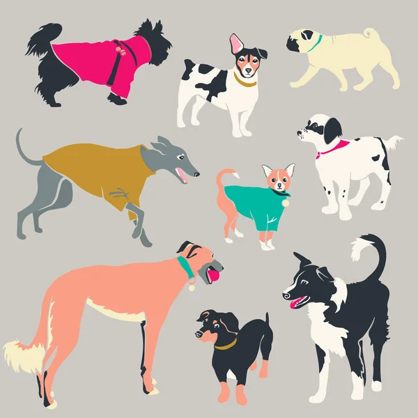 Stílusos Illusztráció Csoporttal Kutyák Vektor Illusztráció — Stock Vector