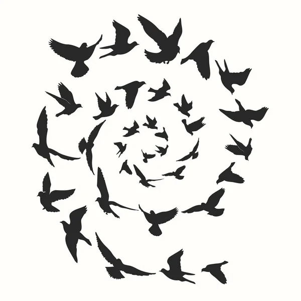Stilvolle Illustration Mit Spirale Aus Vogelsilhouetten Vektorillustration — Stockvektor