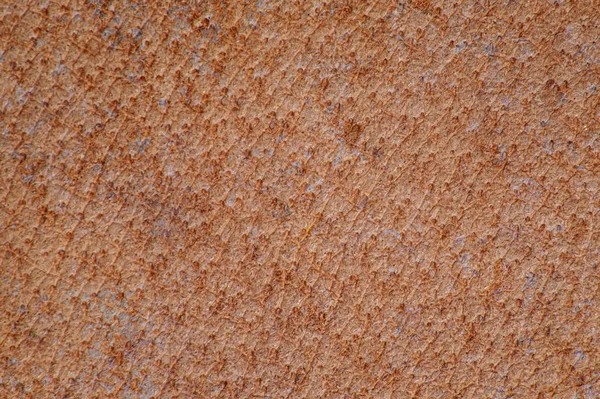 Leer met een natuurlijk groot patroon, textuur van de huid — Stockfoto