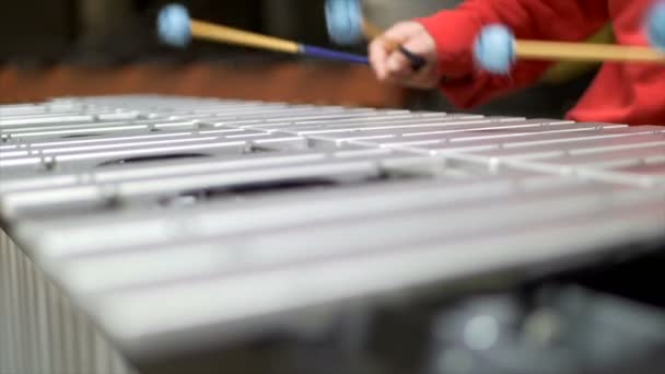 Руки Музыканта Играют Вибрафоне Красном Костюме — стоковое видео