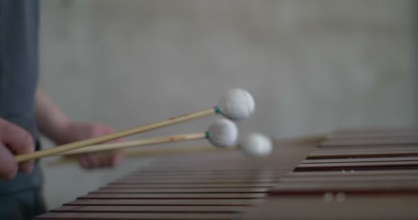 Instrumento musical: Homem tocando a marimba em roupa cinza — Vídeo de Stock