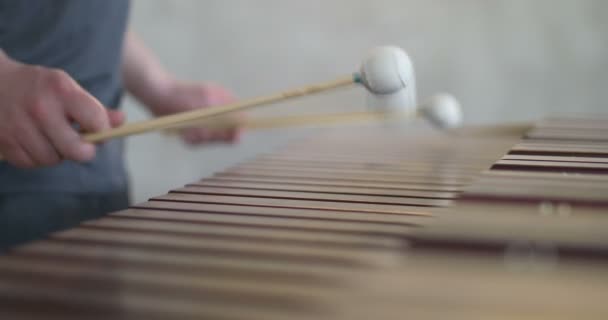 Close up van Man knappe handen Spelen van de marimba in grijze outfit met grijze en wazige achtergrond — Stockvideo
