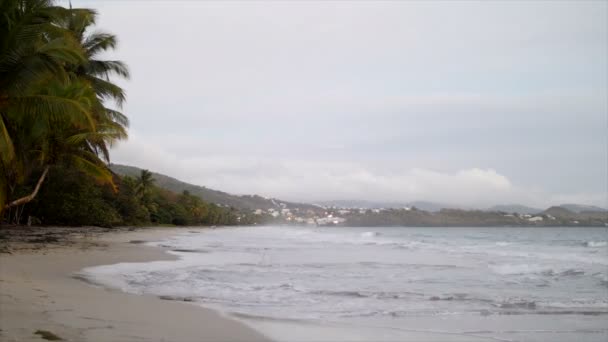 Strand van Martinique eiland - Le diamant, Martinique — Stockvideo