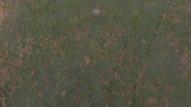 Slow pan, from grass to mont saint michel, Francia 2018-09-01, drone aerial clip Hay cerca de cincuenta tiendas para 3 millones de turistas. Solo unas 25 personas duermen cada noche en el Monte — Vídeo de stock