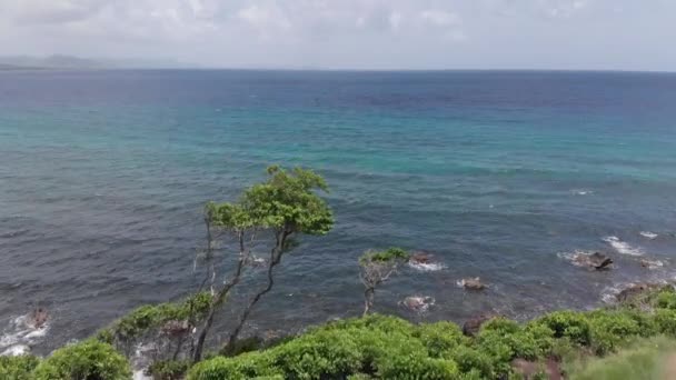 この穏やかなカリブ海のマルティニカ海、青と緑の色の空中ドローンビュー。西インドのこの楽園の安らかなコンセプトは — ストック動画