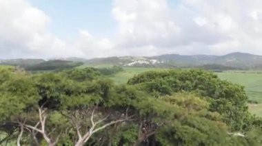 Martinica çok güzel bir hava aracı manzarası. Bu ada, Doğu Karayip Denizi 'ndeki Batı Hint Adaları' nın Küçük Antilleri 'nde yer alan ve Windward Adaları' ndan biri olan Fransa 'nın dar bir bölgesidir..